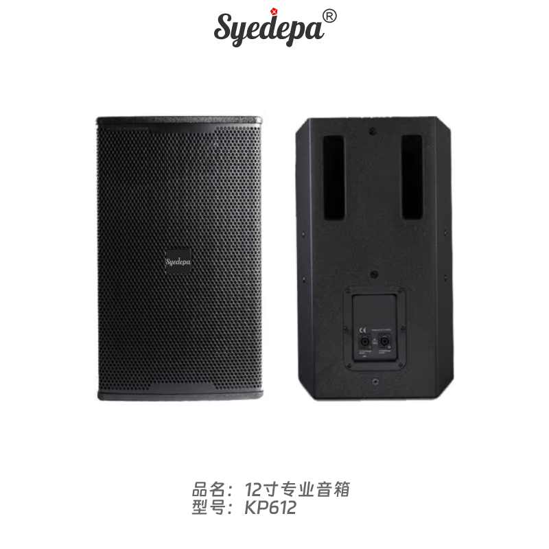 Syedepa全频12寸专业音箱 KP6012